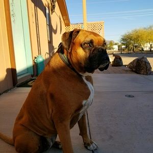 Meet your Posher, Curtis